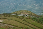 View down the paddy terraces